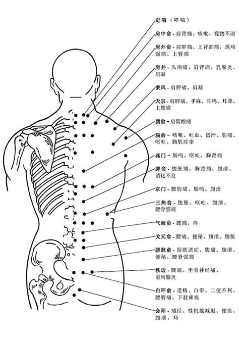 背後穴位圖